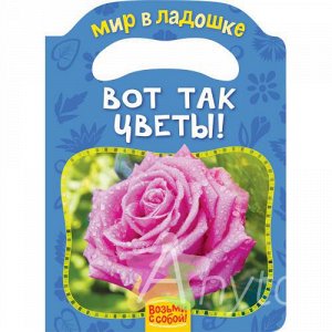 Мазанова Е. К. Вот так цветы!, Похожие товары