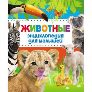 Энциклопедия животных для малышей, Похожие товары