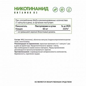 Витамин B-3 NaturalSupp Niacinamide - 60 капс.