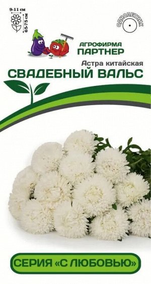Агрофирма Партнёр Астра китайская Свадебный Вальс