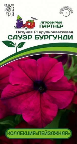 Петуния "Сауэр" Бургунди F1 кустовая крупноцветковая