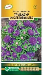 Астра китайская Трубадур Фиолетовый Лед (10 шт)