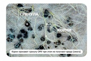 Овощи 1кг ОМУ Буй
