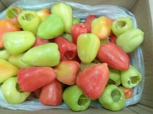 Перец целый замороженный для фаршировки 500 г (+-30г)