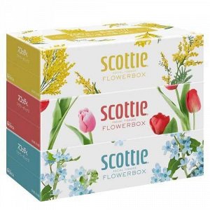 Салфетки Crecia "Scottie Flowerbox" двухслойные, 250 шт. х 3 коробки / 18