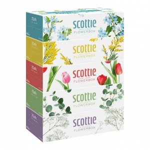 Салфетки Crecia "Scottie Flowerbox" двухслойные, 250 шт. х 5 коробок / 12