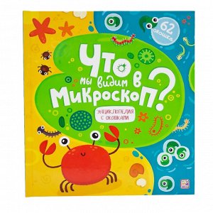 Книжка со створками. Что мы видим в микроскоп? 62 створоки