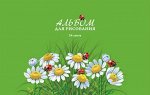 Альбом д/рисования 24 л. блок 100 г.