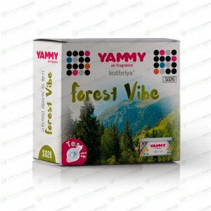 Ароматизатор на торпедо Yammy Forest Vibe, меловой, арт. S026
