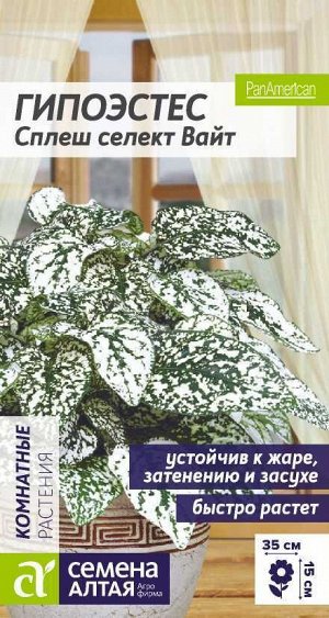 Гипоэстес Сплеш селект Вайт/Сем Алт/цп 5 шт. многолетник НОВИНКА