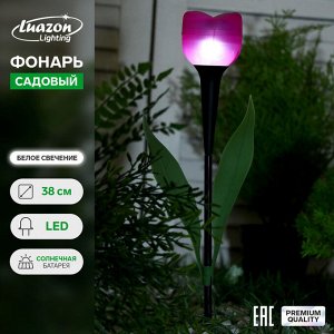 Садовый светильник на солнечной батарее «Тюльпан», 6 ? 38 ? 6 см, 1 LED, свечение белое