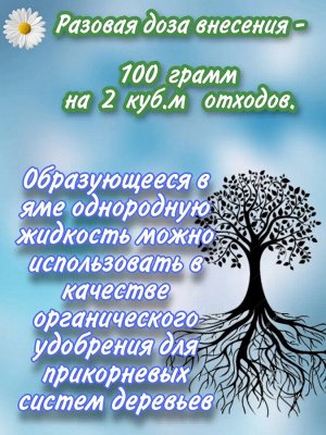 Радуга Биосостав "Дачный" 100 гр