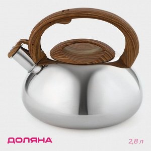 Чайник Доляна «Квант», 2.8 л, со свистком, фиксированная ручка soft-touch, нержавеющая сталь, хромированный