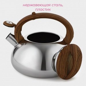 Чайник Доляна «Квант», 2.8 л, со свистком, фиксированная ручка soft-touch, нержавеющая сталь, хромированный