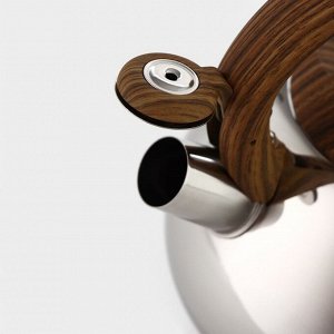 Чайник со свистком из нержавеющей стали Доляна «Квант», 2,8 л, фиксированная ручка soft-touch, цвет хромированный