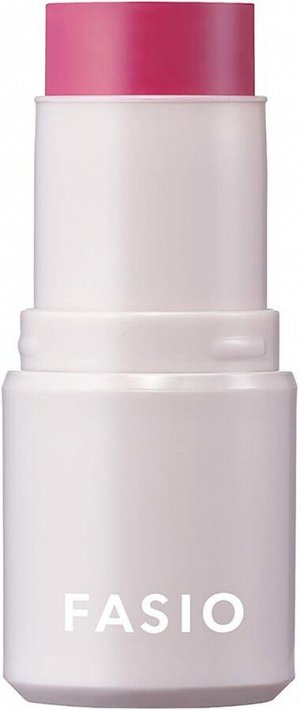 FASIO Multiface Stick - многофункциональный стик