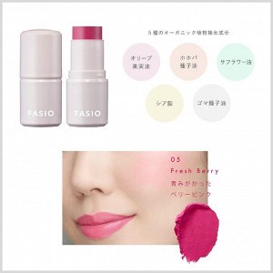 FASIO Multiface Stick - многофункциональный стик