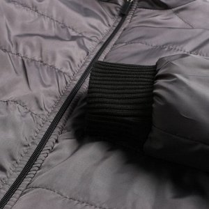 Куртка мужская демисезоная, цвет серый