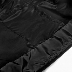 Куртка мужская демисезоная, цвет черный