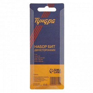 Набор бит ТУНДРА, сталь S2, круглый магнит, двухсторонняя, PH2x65 и 100 мм, 2 шт.