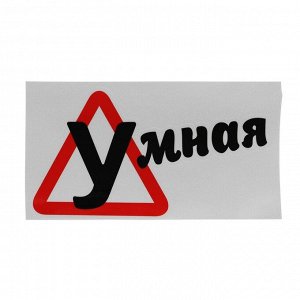 Наклейка на автомобиль, "Умная", 18?10 см