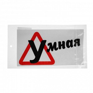 Наклейка на автомобиль, "Умная", 18?10 см