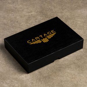 Подарочный набор Cartage, лучшему водителю, 4 предмета