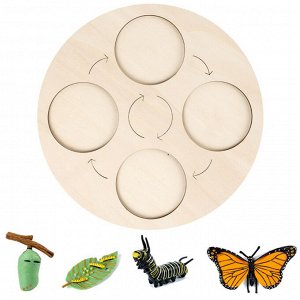 Развивающий набор фигурок "Цикл Жизни", бабочка