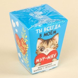 Шоколадные шарики с печеньем «Ты всегда в моём мур-мяу», 24 г (3 шт. х 8 г).