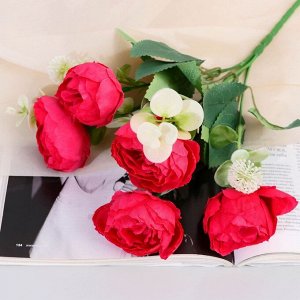 Букет «Пион Бамби», 5x30 см, МИКС