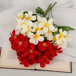 Букет «Альстромерия элит», 5x29 см, МИКС