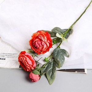 Цветы искусственные «Пион Эльза», h=64 см, d=10 см, персиковые