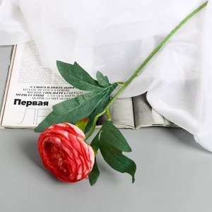 Семейные традиции Цветы искусственные &quot;Пион Пижон&quot; d- 8 см 45 см, розово-красный