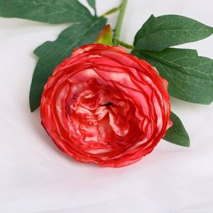 Семейные традиции Цветы искусственные &quot;Пион Пижон&quot; d- 8 см 45 см, розово-красный