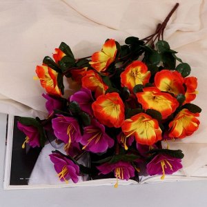 Букет искусственный «Ахименес Тереза», 5x33 см, МИКС