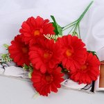 Букет «Ромашка пышная», 7x28 см, МИКС