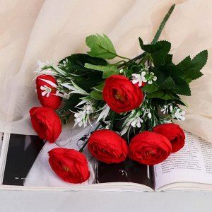 Букет «Пион Кимбол», 5*28 см, МИКС