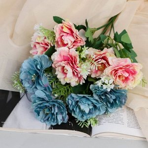 Букет «Фиалка Ле Далия», 7x26 см, МИКС