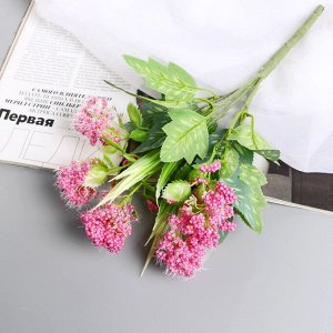 Букет искусственный «Пушица незабудка», 30 см, МИКС