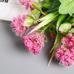 Букет искусственный «Пушица незабудка», 30 см, МИКС