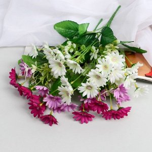 Букет «Клематис рубенс», 3x27 см, МИКС