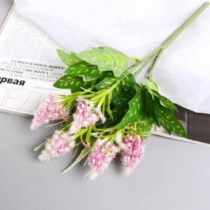 Букет искусственный «Пушица мимоза», 30 см, МИКС