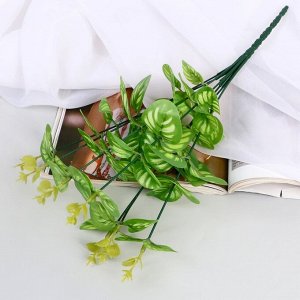 Букет искусственный «Кассия декоративная», 29 см, МИКС