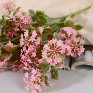 Букет искусственный «Лабазник таволга», 33 см, МИКС