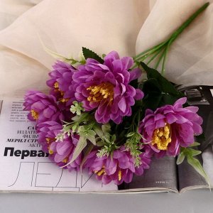 Букет «Гербера крупная галант», 8x30 см, МИКС