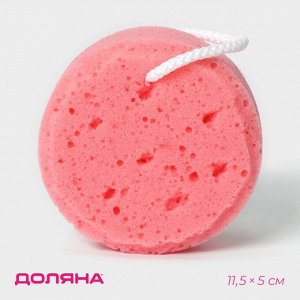 Губка для тела Доляна Cookie, 11,5x5 см, цвет розовый