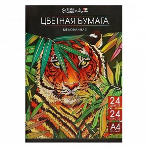 Бумага цветная А4, 24 листа, 24 цвета, мелованная 80 г/м2, на скобе
