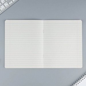 Тетрадь в линейку 12 листов А5, на скрепке «Пушистики», обложка мелованный картон, блок №2, 5 видов МИКС