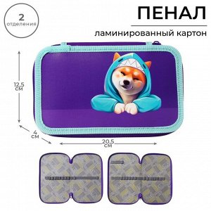 Пенал школьный, 2 секции, 12.5x20.5x4 см «Сиба»