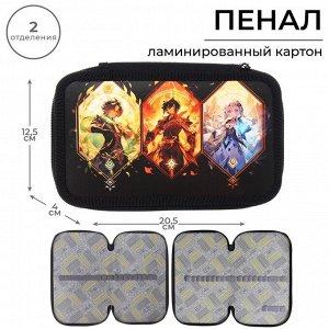 Пенал школьный, 2 секции, 12.5x20.5x4 см «Аниме game»